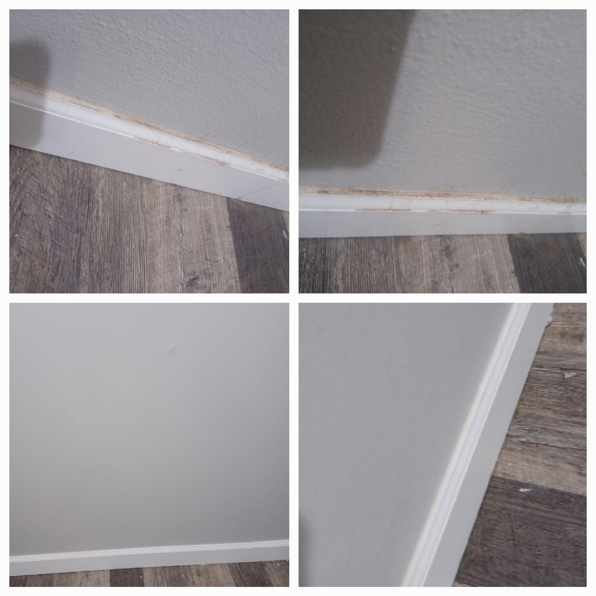 Cleaning result photo 11 by B.T's Cleaning Services